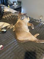 img_016