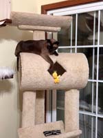 img_040