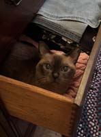 img_045