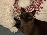 img_048