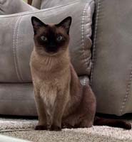img_064jpeg