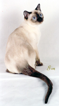 Tonkinese Point